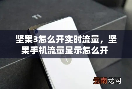 坚果3怎么开实时流量，坚果手机流量显示怎么开 