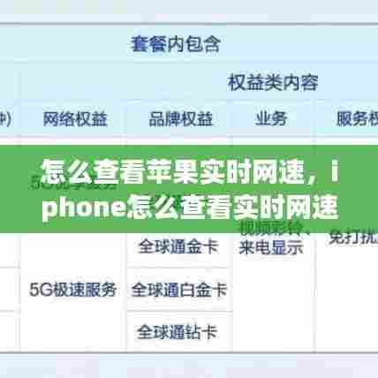 怎么查看苹果实时网速，iphone怎么查看实时网速 