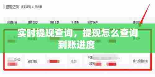 实时提现查询，提现怎么查询到账进度 