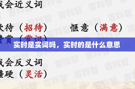 实时是实词吗，实时的是什么意思 