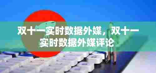 双十一实时数据外媒，双十一实时数据外媒评论 