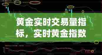 黄金实时交易量指标，实时黄金指数是多少 