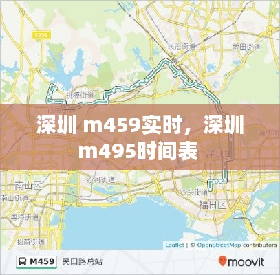 深圳 m459实时，深圳m495时间表 