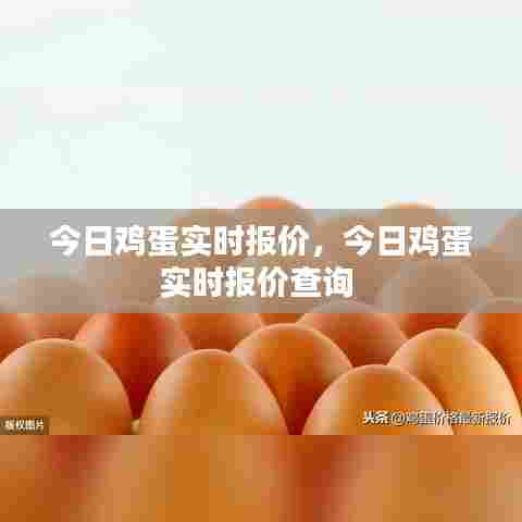 今日鸡蛋实时报价,今日鸡蛋实时报价查询