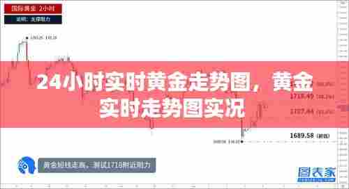 24小时实时黄金走势图，黄金实时走势图实况 