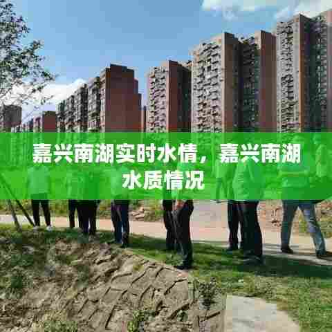 嘉兴南湖实时水情，嘉兴南湖水质情况 