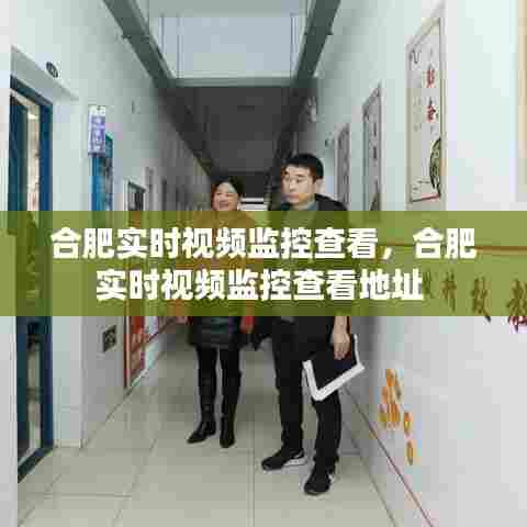 合肥实时视频监控查看，合肥实时视频监控查看地址 