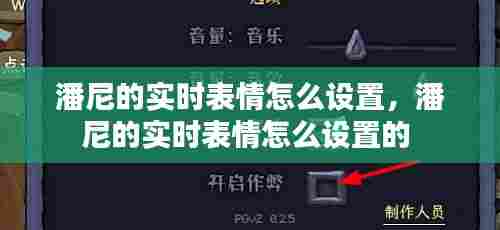 潘尼的实时表情怎么设置，潘尼的实时表情怎么设置的 