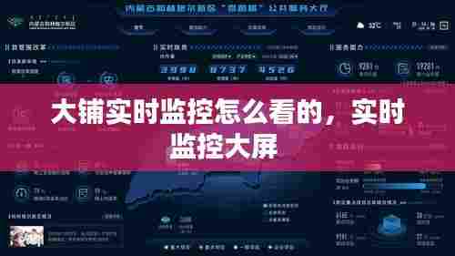 大铺实时监控怎么看的，实时监控大屏 
