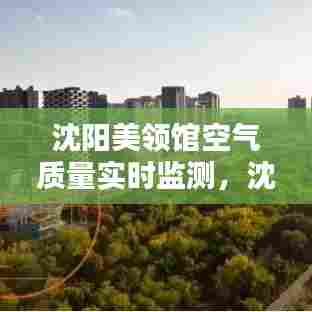 沈阳美领馆空气质量实时监测，沈阳美领馆空气污染指数 