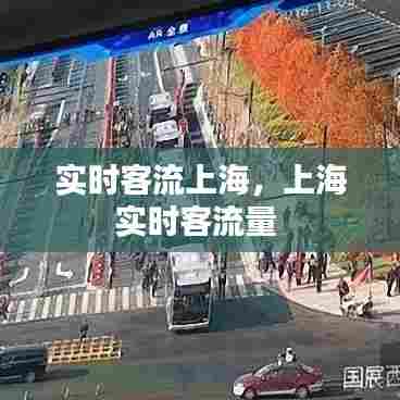 实时客流上海，上海实时客流量 