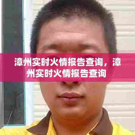 漳州实时火情报告查询,漳州实时火情报告查询