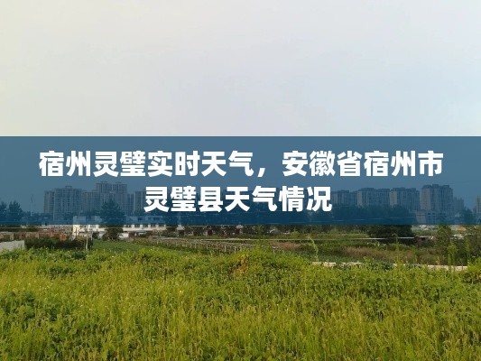 宿州灵璧实时天气,安徽省宿州市灵璧县天气情况