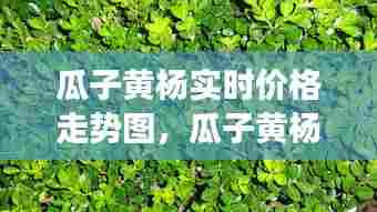 千里迢迢 第7页