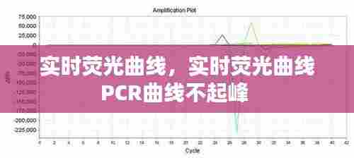 实时荧光曲线，实时荧光曲线PCR曲线不起峰 