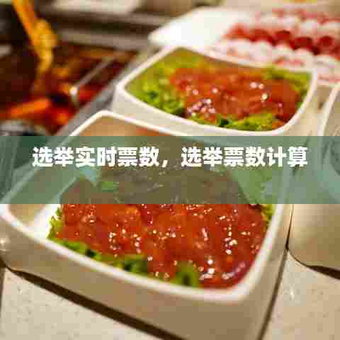 选举实时票数，选举票数计算 