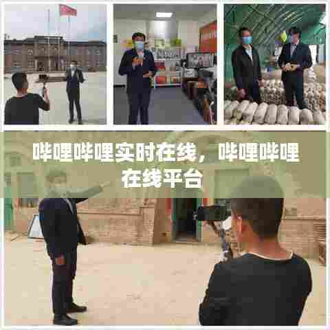 哔哩哔哩实时在线，哔哩哔哩在线平台 