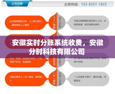 安徽实时分账系统收费，安徽分时科技有限公司 
