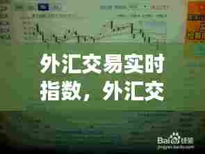 外汇交易实时指数，外汇交易实时指数查询 