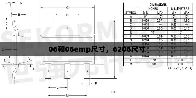 06和06emp尺寸，6206尺寸 