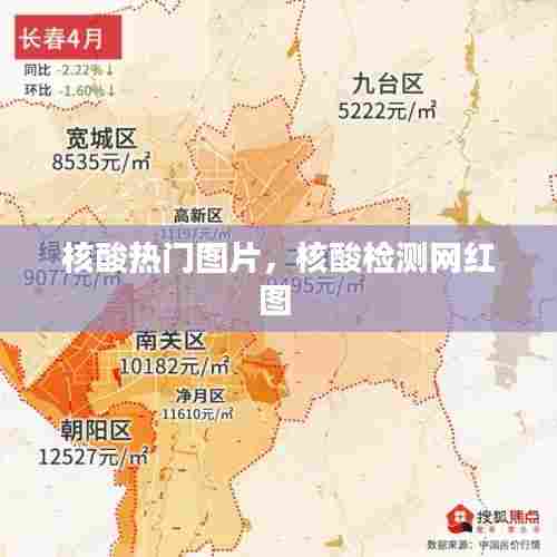 核酸热门图片，核酸检测网红图 