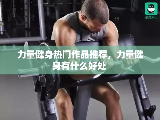 力量健身热门作品推荐,力量健身有什么好处