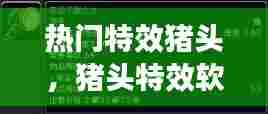 热门特效猪头，猪头特效软件 