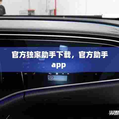 虚张声势 第7页