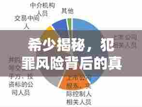 希少揭秘，犯罪风险背后的真相与应对策略独家解析