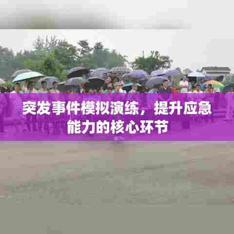 突发事件模拟演练，提升应急能力的核心环节