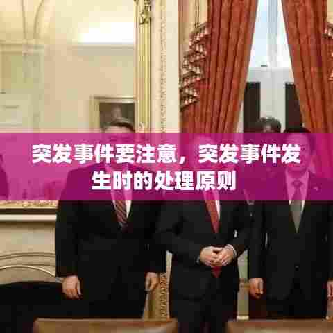 突发事件要注意，突发事件发生时的处理原则 