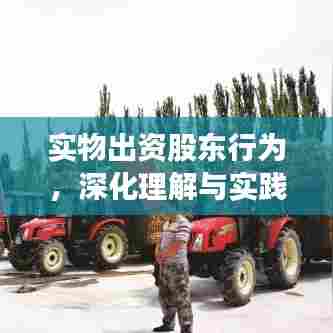 实物出资股东行为,深化理解与实践操作指南