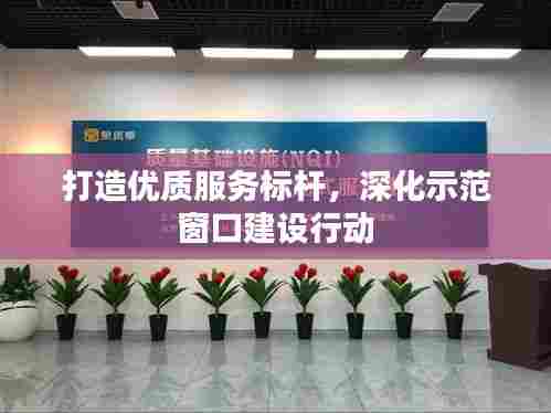 打造优质服务标杆，深化示范窗口建设行动