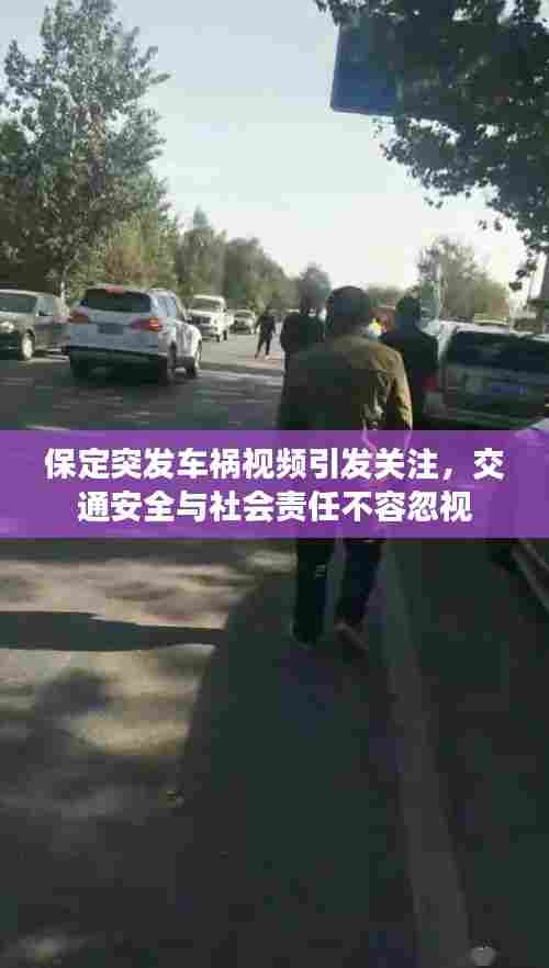保定突发车祸视频引发关注，交通安全与社会责任不容忽视