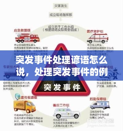 突发事件处理谚语怎么说,处理突发事件的例子