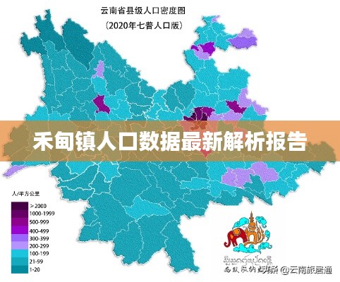 禾甸镇人口数据最新解析报告