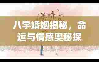 八字婚姻揭秘，命运与情感奥秘探索