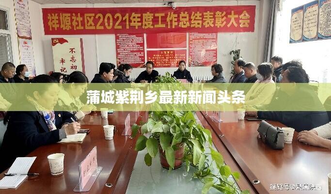 蒲城紫荆乡最新新闻头条