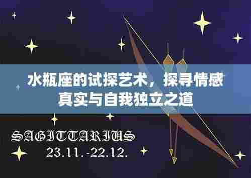 水瓶座的试探艺术，探寻情感真实与自我独立之道
