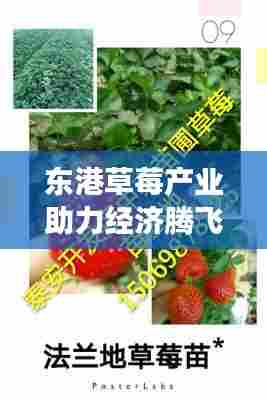 只争朝夕 第6页