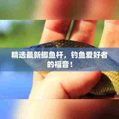 精选最新鲫鱼杆，钓鱼爱好者的福音！