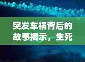 突发车祸背后的故事揭示，生死边缘的启示与阴间的思考