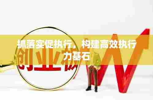 抓落实促执行，构建高效执行力基石