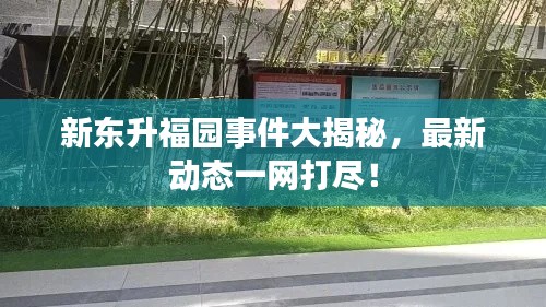 新东升福园事件大揭秘，最新动态一网打尽！
