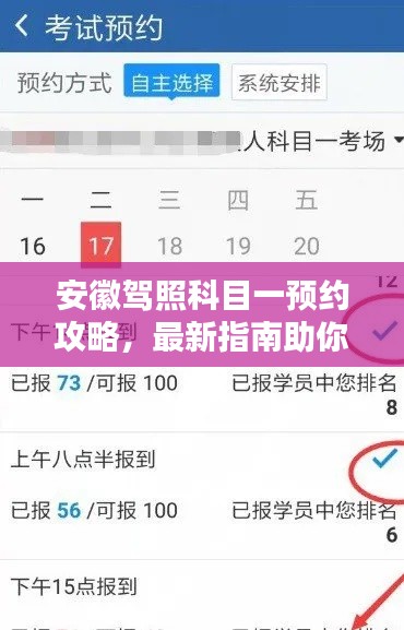 安徽驾照科目一预约攻略，最新指南助你轻松预约考试！