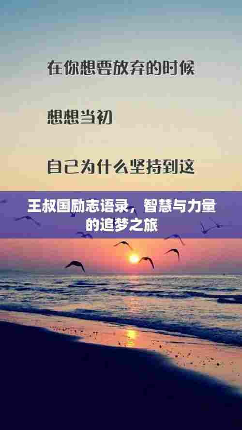 王叔国励志语录，智慧与力量的追梦之旅