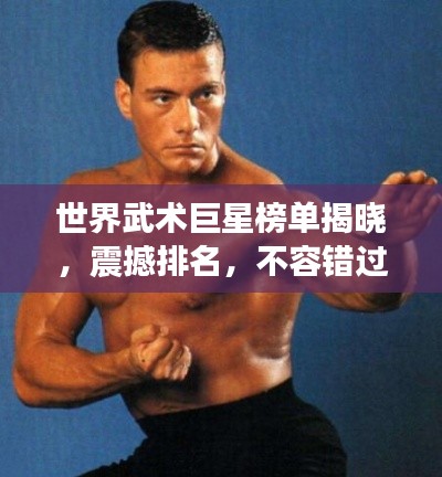 世界武术巨星榜单揭晓，震撼排名，不容错过！