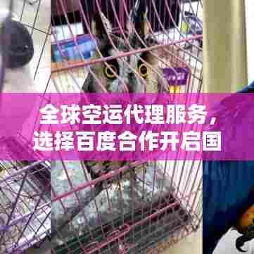 全球空运代理服务，选择百度合作开启国际物流新篇章