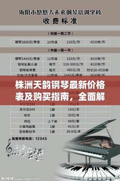 株洲天韵钢琴最新价格表及购买指南,全面解析让您一目了然