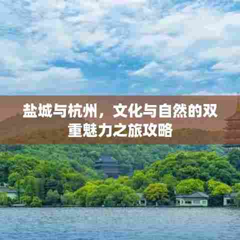 盐城与杭州，文化与自然的双重魅力之旅攻略